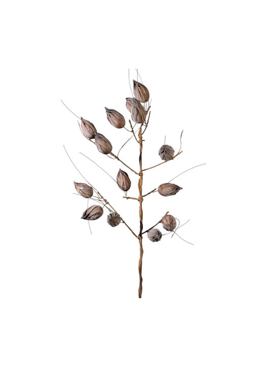 Zweigstelle Korken Braun 104cm