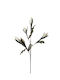 Green Flower Double Bud 90cm