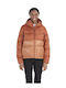 Guides Jacket Brown