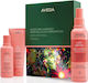 Aveda Moisture Marvels Nutriplenish Hydrating Essentials Light Hair Care Set for Thin Hair with Shampoo & Conditioner 3 Pieces