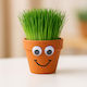 Малък подарък Grass