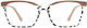 Frog Optical Reading Glasses +1.75 in Brown color