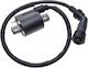 Yamaha YBR 125cc Ignition Coil