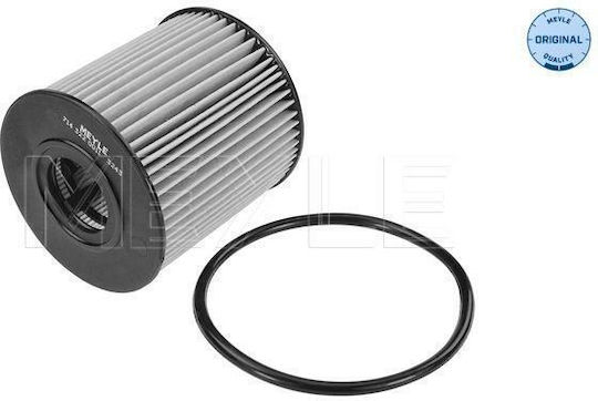 Car Oil Filter Citroen Ds Fiat Ford Jaguar Lancia Land Rover Mini Mitsubishi Opel Peugeot Toyota Volvo 7143220011 7143220011-10761