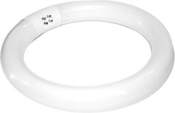 Salon Tech Прахоуловител За Маникюр 22W Salon Tech Прахоуловител За Маникюр 22W