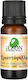 Rose Aromatic Bioleon 10ml
