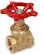 Giacomini R55y003 Gate Valve Brass 1/2” Internal Thread 16 Bar 110°c