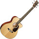 Martin Electric Bass