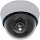 Tele AVK-015ZP CCTV Surveillance Camera