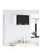 Negru 30x31x40buc