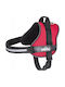 Hobbydog R2 Dog Harness Julletta Red