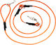 4wild.eu Hundeleine/Führleine Riemen in Orange Farbe 3m