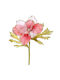 Flower Branch 203678 20x30cm Multicolour