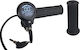 Throttle Lever + Display 36v 48v