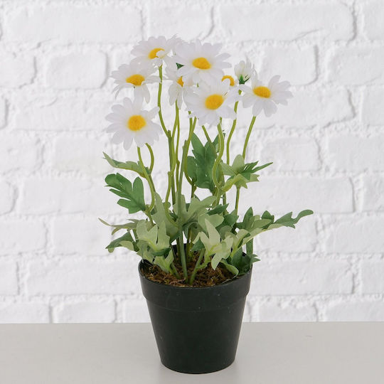 Μαργαριτα Daisy Γλαστρα H28cm