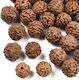 Natural Tropical Rudraksha Bead Brown 8~9.5mm 30pcs