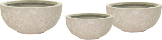 Fankon Flowers Planter Multicolour