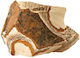 Φυσικα Βραχια Σετ 4 Τεμαχια Hobby Picture Jasper 3kg