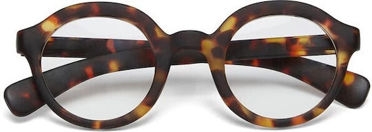 Okkia Lauro Round Reading Glasses +1.00 in Brown Colour OK041CH-250-370592