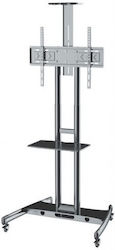 Axred Zeus 20250029 TV Mount Wall Mounted Axred Zeus 20250029 TV Mount Wall Mounted