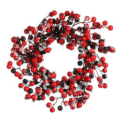 Χριστουγεννιάτικο Στεφάνι Φ30 Edelman Wreath 1184971 Φ30