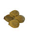 Pawz Rubber Dog Boots Camouflage Tiny 12 Pcs Pet Supplies