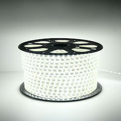 LED-Streifen 5050 6mm Weißer Beleuchtung Aerbes Ab-z845 LED-Streifen 5050 6mm Weißer Beleuchtung Aerbes Ab-z845
