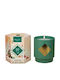 My Jolie Candle Noel Frosted Pine Gold Bracelet Christmas Candle Jewelry Bracelet Surprise