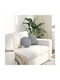 vidaXL Perna de canapea Light Gray 2buc 30x30cm.