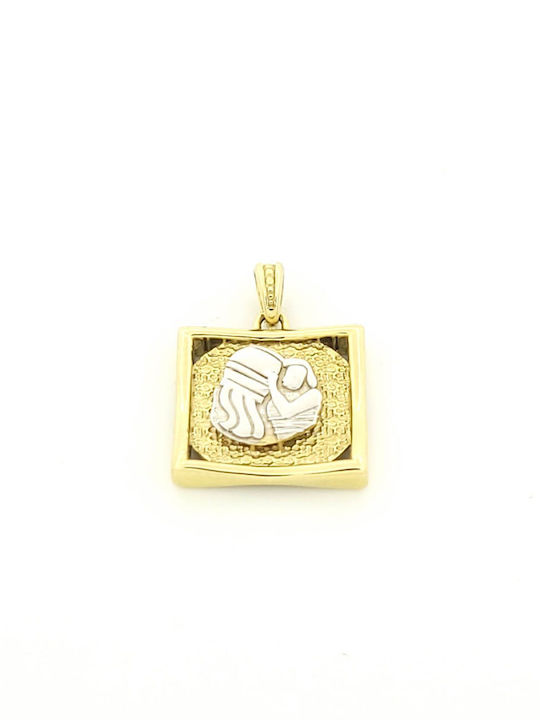 Κρεμαster Charm Tierkreiszeichen Wassermann aus 9K Gold mit Zirkon