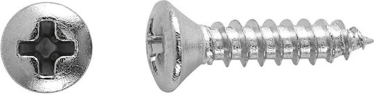Lux Tools Phillips Screw Inox with Diameter M2.9mm 12pcs Countersunk