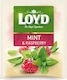 Loyd Herbal Tea Loyd Raspberry Mint Flavor 20 Bags