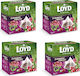 Loyd Cranberry Raspberry Tea 80 Pyramid Bags