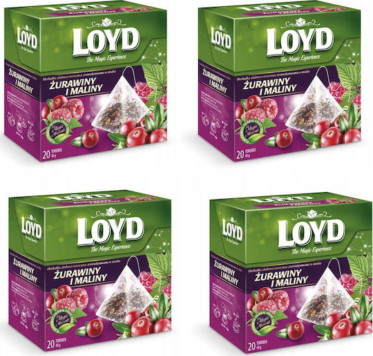 Loyd Cranberry Raspberry Tea 80 Pyramid Bags