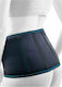 Orliman Belt Rib with Stays Height 20cm in Black color