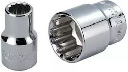 Honiton Steckdosen 12-catna 3/4" 55mm