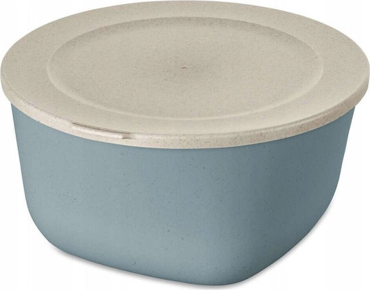 Koziol Plastic Transparent Lunch Box 2lt