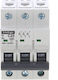 3p C 25a Schelinger A02-g7-3p-c25