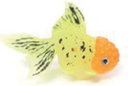 Ad Glowing Goldfish Lionhead Yellow Orange