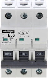 Overhead Switch 3p B 6a Schelinger