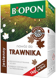 Îngrășământ Granule Pentru Gazon De Toamnă Carton 1 Kg