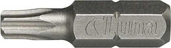 Luna Torx Arrowheads Tx40 2 Pcs Luna