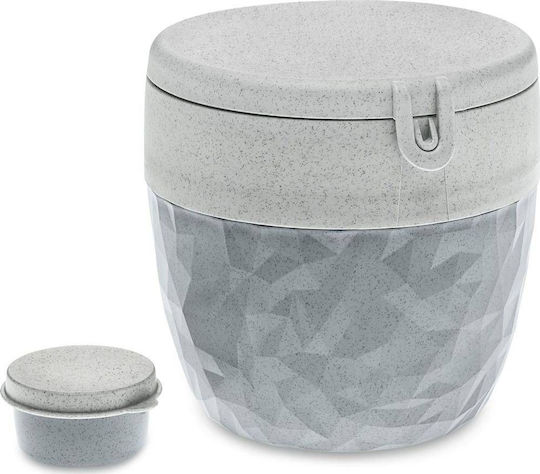 Koziol Plastic Kids' Food Container Gray
