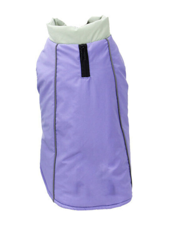 Glee Hundemantel Lila Mittel mit Rückenlänge 28 cm.