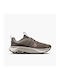 Wildhorse 10 Sport Shoes Running Brown