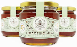 Αρκαδικό Μέλι Βιολογικό Μέλι Δάσους & Πεύκου & Ερείκης & Φασκομηλιάς Αρκαδικό Μέλι Βιολογικό Μέλι Δάσους & Πεύκου & Ερείκης & Φασκομηλιάς
