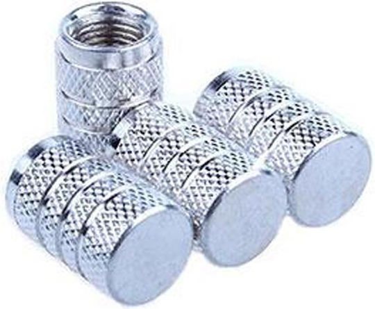 Autoventilkappen Set 4Stücke Xm-w14023-2 Silber