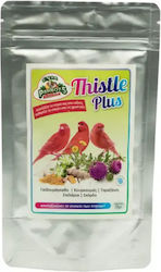 Evia Parrots Artischocke Plus – Vogelgesundheitsbedarf Zellregeneration der Leber von Vögeln 50g Evia Parrots Artischocke Plus – Vogelgesundheitsbedarf Zellregeneration der Leber von Vögeln 50g