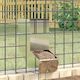 vidaXL Hamster silver Metal Feeder for Rabbits ...