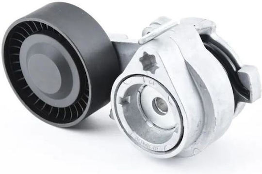 Bmw E53 E65 E66 E67 Car Timing Belt Tensioner Auto Parts 11287549589
